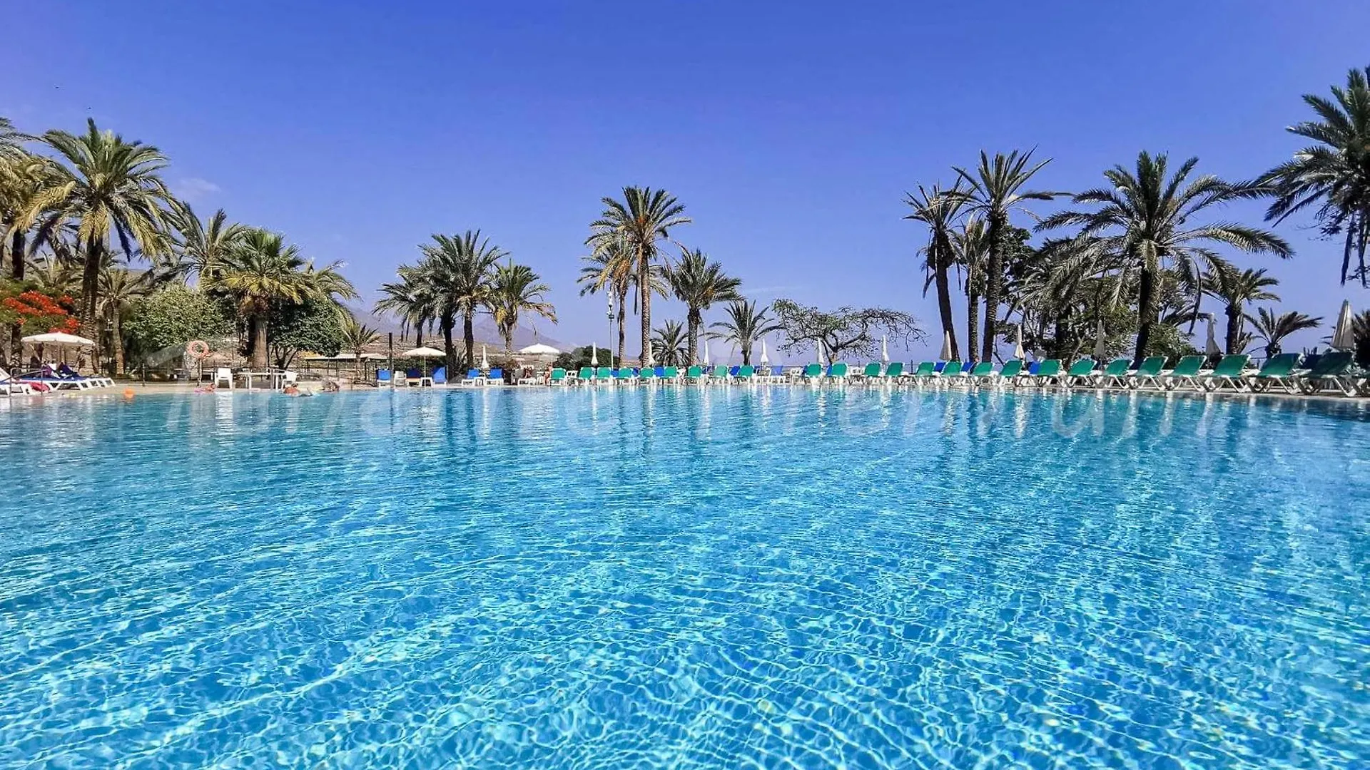 칼라오살바헤 Casa Exotica,1St Sea Line, Marazul Del Sur, Heated Pool 아파트 0*,  스페인